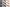 Naviate Accelerate March Release 2022.1.4