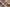 Naviate Site & Landscaping September Release 2025