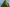 Naviate Zero June Release 2024.5.1