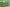 Naviate Site & Landscaping January Release 2024.3.1