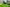 Naviate Outdoor Area March release news 2025