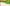 Naviate Outdoor Area Green Space Between Buildings 1920X1080 Px