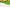 Naviate Outdoor Area December release news 2024