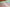 Naviate Landuse release 2022.1.1