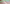 Naviate Landuse release 2022.1.1