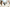 Naviate Cloud Manager 2.10