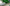 Naviate Mepwater Supply Interior Green Pipes 1920X1080