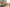 Naviate Site & Landscaping June Release 2024.5.1