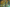 Naviate Structure March Release 2022.1.7